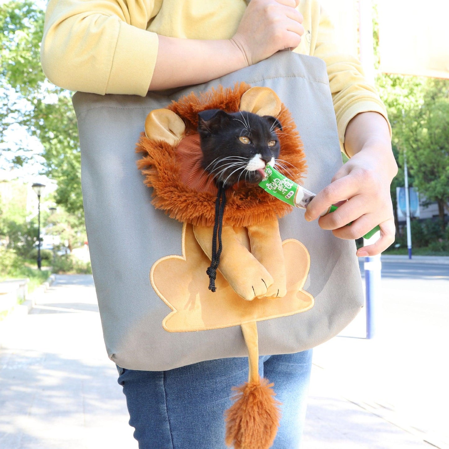 Lion Design Pet Carrier: Portable, Breathable, And Stylish For Travel With Your Furry Friend