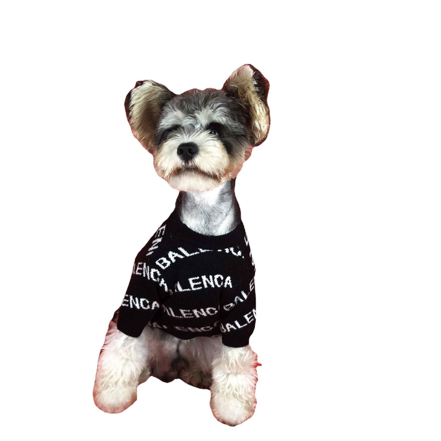 Springtime Chic Dog Sweater: Stylish Pullover For Schnauzers And More!